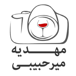 وب سایت شخصی مهدیه میرحبیبی